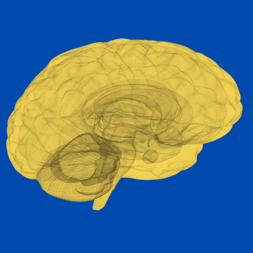 Neuroaesthetics: Can Art Make Us Smarter, Happier, and Healthier?