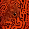 Cosmodernism: The Magic of Macro Art and Magnetic Liquids