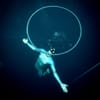 William Trubridge: Seven Strokes Before Freefall