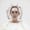 Exhibition "Virtual Beauty": Who Controls Image and Identity in the Digital Age?
