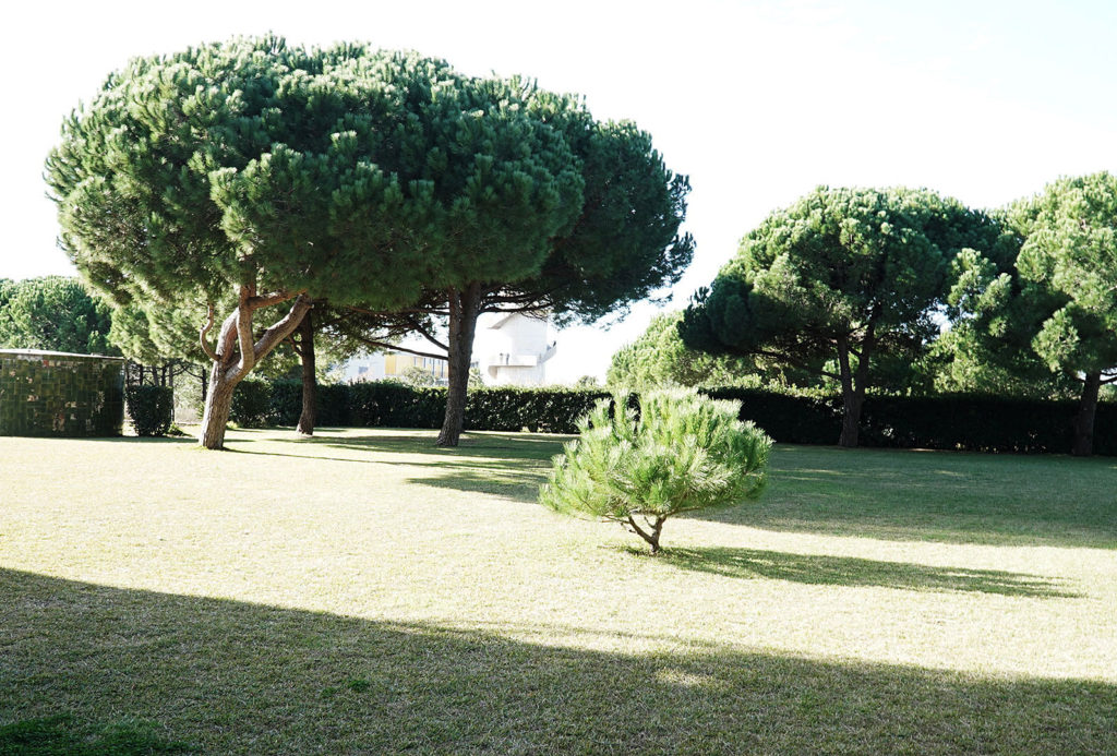 The wide-spread garden of Casa Gomis