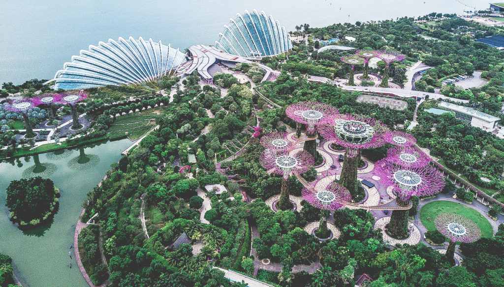 Biomimicry in Architecture: Garden by the Bay Singapore 