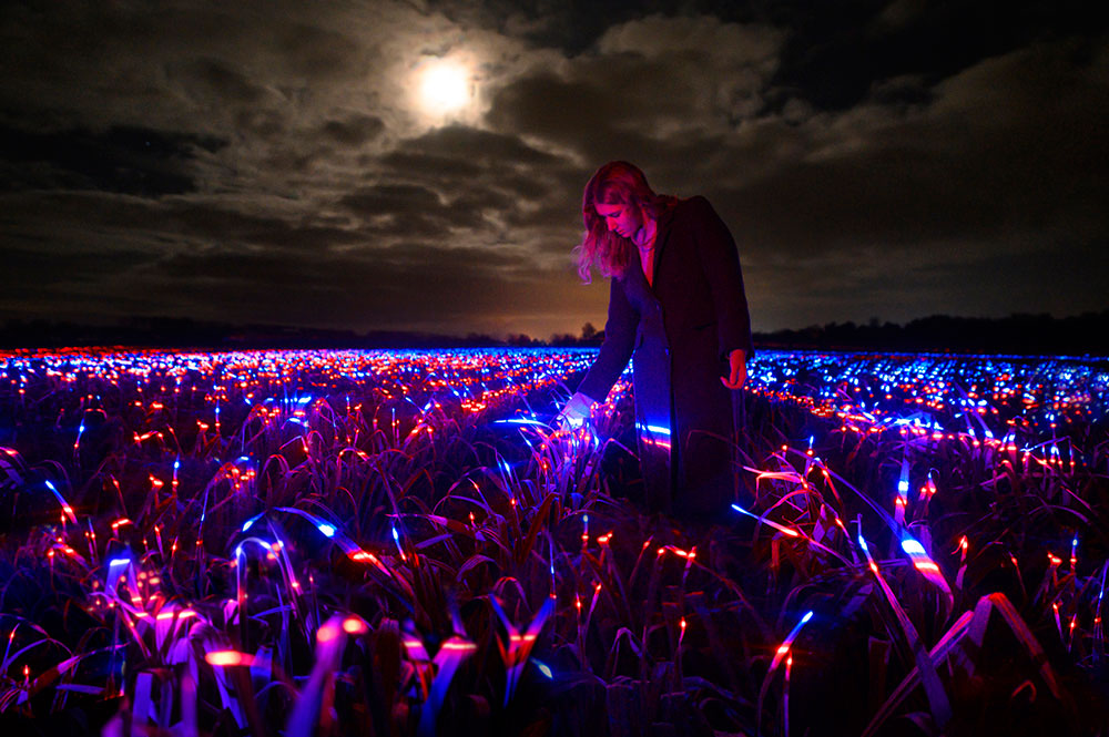 woman standing in the illuminated lake field by dutch designer Daan Roosegaarde
