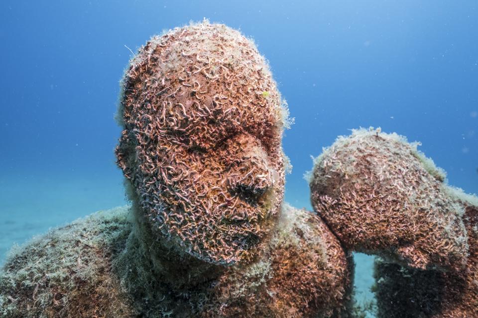 Jason deCaires Taylor's underwater statue in the Atlantic. Faces of the statues are covered in sea worms.
