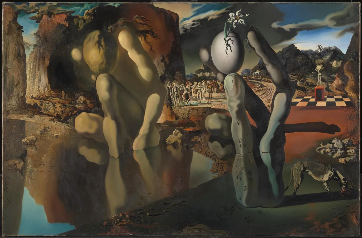 Salvador Dali's Metamorphosis